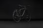 Cube Kathmandu Pro 2027 54 cm | slabgrey´n´chrome