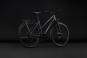 Cube Kathmandu Pro Trapez 2027 54 cm | slabgrey´n´chrome