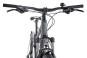 Focus WHISTLER 3.6 EQP 2023 42 cm | slategrey | 29 Zoll