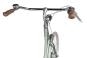 Gazelle Classic R3T Wave 2026 57 cm | moss green matt | 28 Zoll