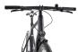 Rabeneick TX-E Singlespeed 50 cm | schwarz matt | 28 Zoll