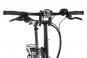 Tern Vektron S10 20 LR 2024 unisize | black bronze | 20 Zoll