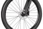 Axess Stipe 26 Pro 33 cm | prism green matt/cyan black