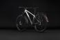 Cube Aim Pro FE 2027 L | grey´n´black