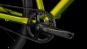 Cube Editor RACE 2025 50 cm | lizard´n´black