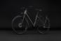 Cube Kathmandu Pro Trapez 2027 54 cm | slabgrey´n´chrome