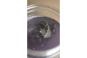 Dynamic Striptease Antriebsentfetter 500 ml