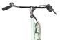 Maxim Nostalgie 1900 50 cm | green