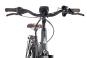 Raleigh CARDIFF LB Plus 47 cm | techgreen matt | 28 Zoll