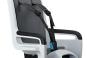 Thule RideAlong II Kindersitz Gepäckträger light grey