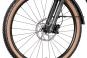 Trek Powerfly FS+ 4 EQ 800 2026 L | mercury/dark web