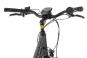 Raleigh CARDIFF LB Plus 47 cm | techgreen matt | 28 Zoll