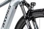 Axess Force PRO Allroad 21 Zoll | misty silver matt/black/sky