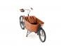 Babboe City 7N RB 50 cm | braun | 26 Zoll