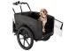 Cargobike of Sweden Delight Nova Dog unisize | schwarz