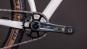 Cube Phenix C:68X SLX 2026 L | teamline
