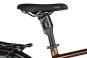 KTM MACINA STYLE 720 2025 46 cm | sunset matt/champagne black