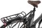 Raleigh CARDIFF LB Plus 47 cm | techgreen matt | 28 Zoll