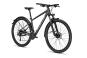 Focus WHISTLER 3.6 EQP 2023 42 cm | slategrey | 29 Zoll