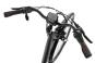 Raleigh CARDIFF LB Plus 47 cm | techgreen matt | 28 Zoll