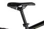 Axess Element 21 Zoll | black matt/darkrainbow/green