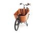 Babboe City Mountain ENV HD 400 50 cm | braun | 26 Zoll