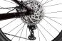 Trek Powerfly+ 8 Gen 5 2026 M | crimson/dark carmine