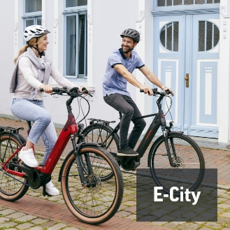 E-Citybike