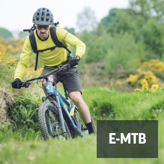 E-MTB Hardtail
