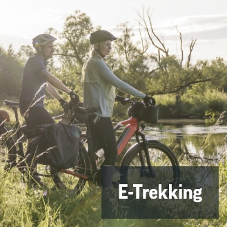 E-Trekkingbike