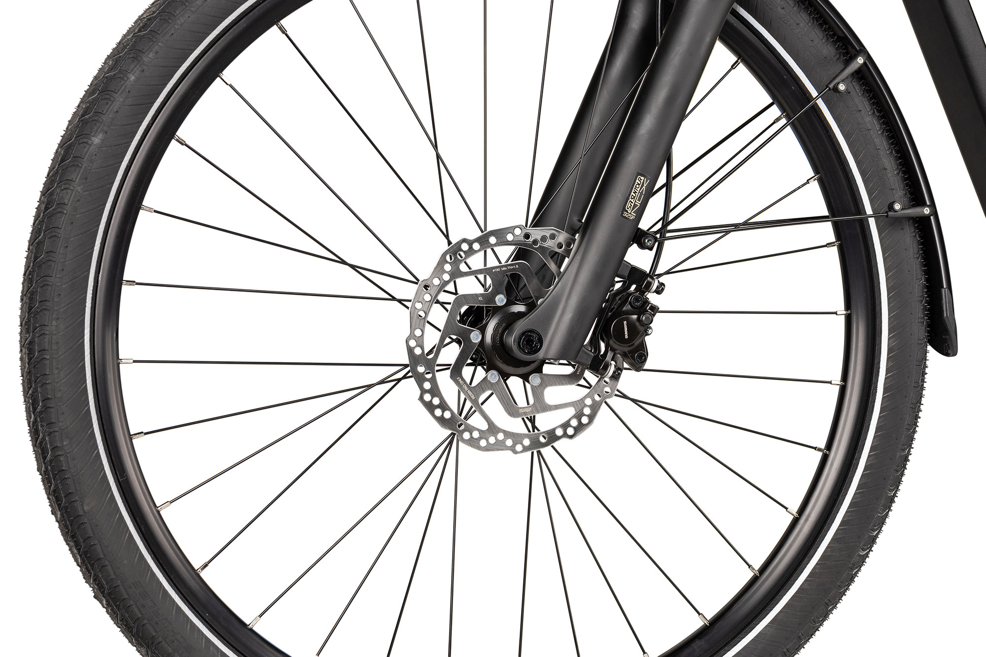 2R Manufaktur Modena SX 600 50 cm | champagne pearl matt