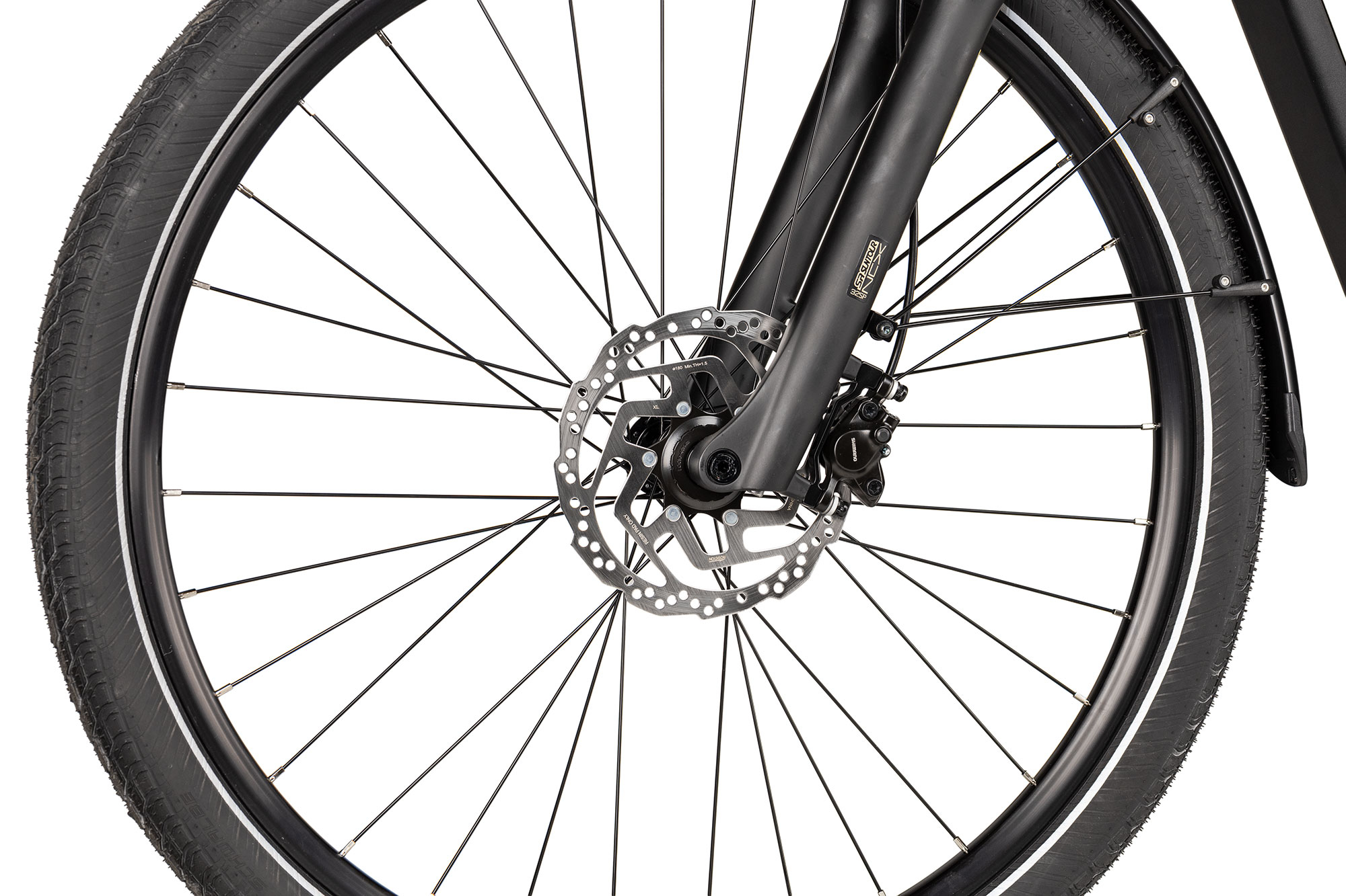 2R Manufaktur Modena SX 600 Wave 46 cm | champagne pearl matt