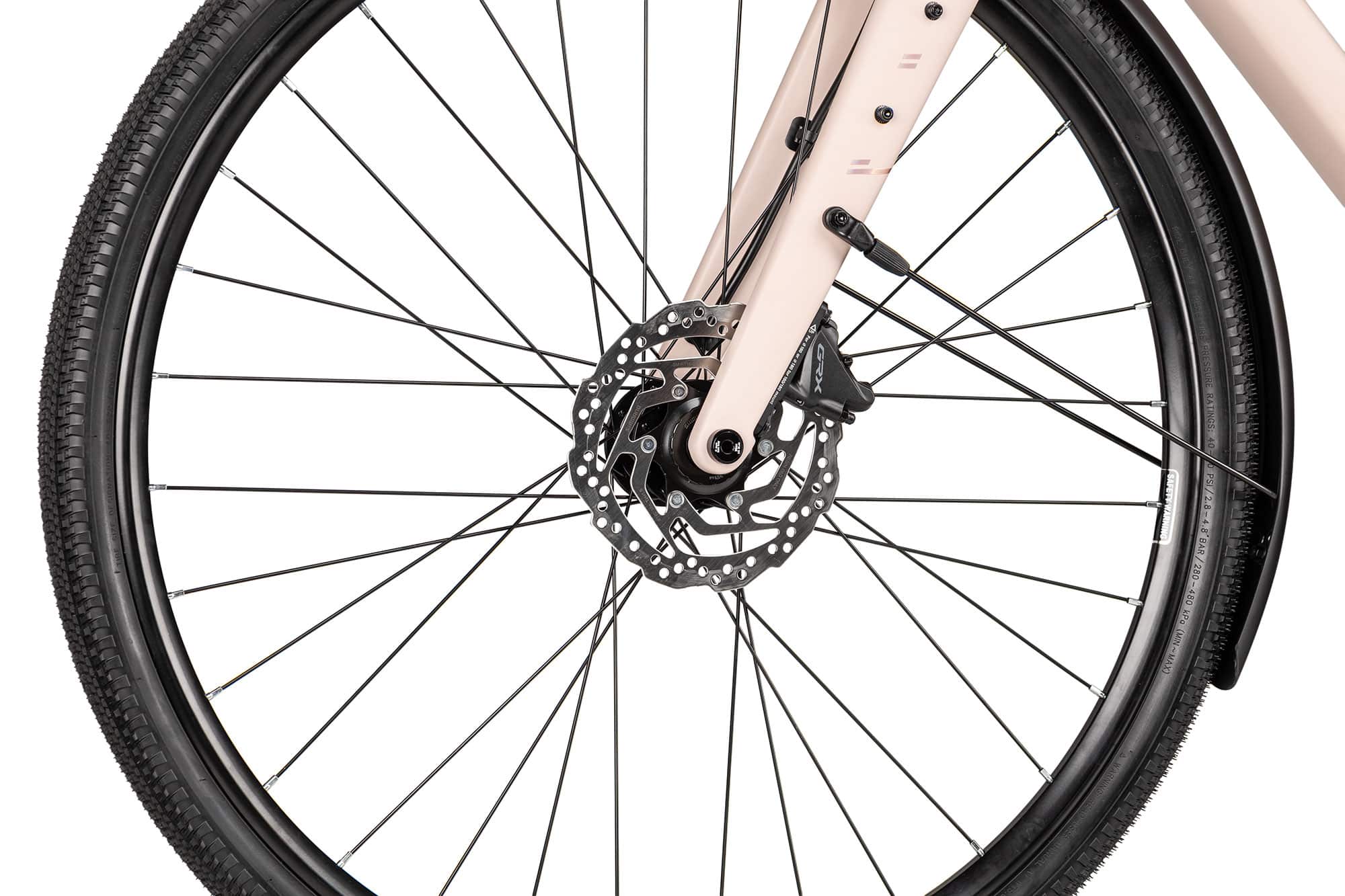 Axess CREED SPORT EQ 57 cm | dusty rose matt