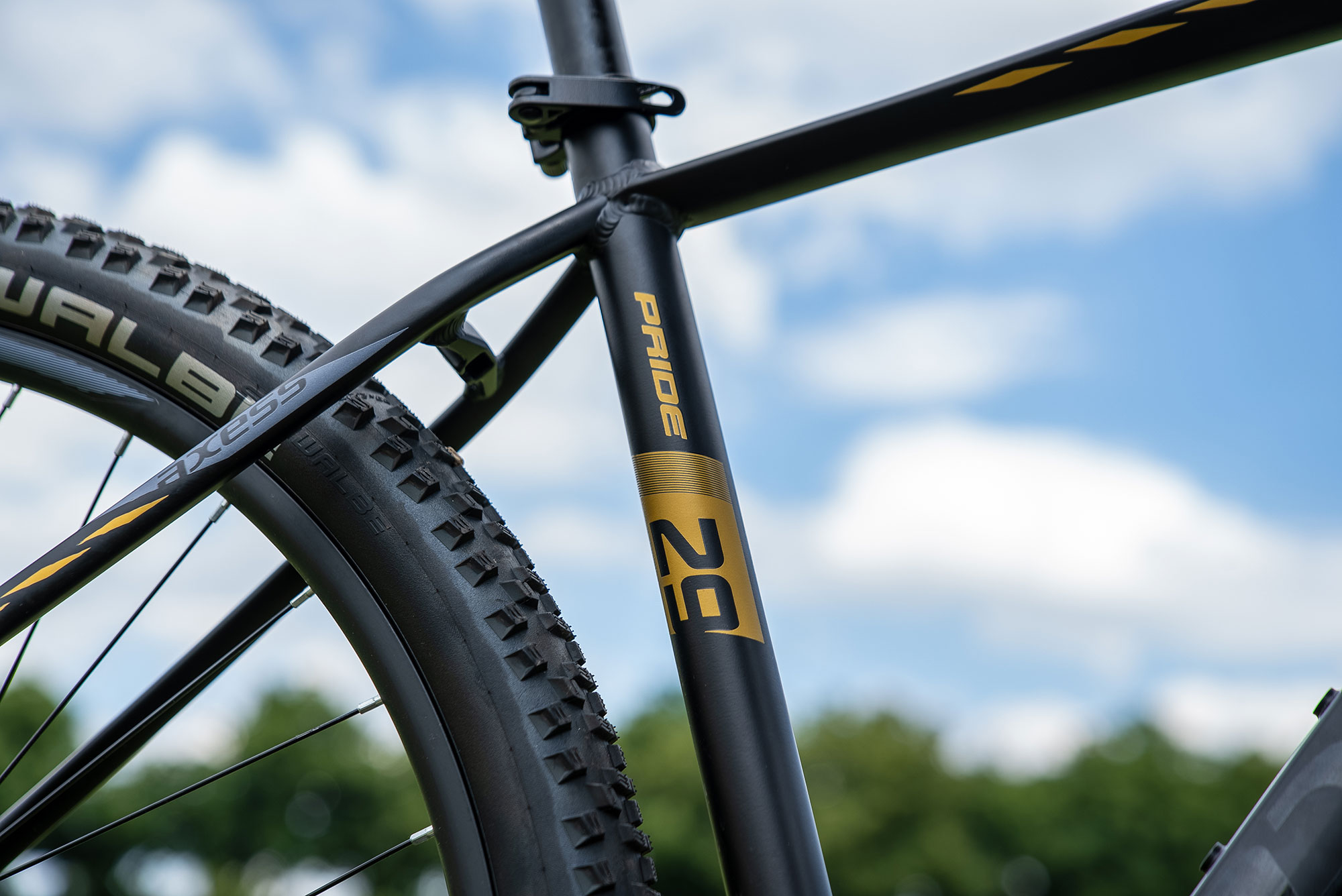 Axess PRIDE 17 Zoll | satinblack gold grey