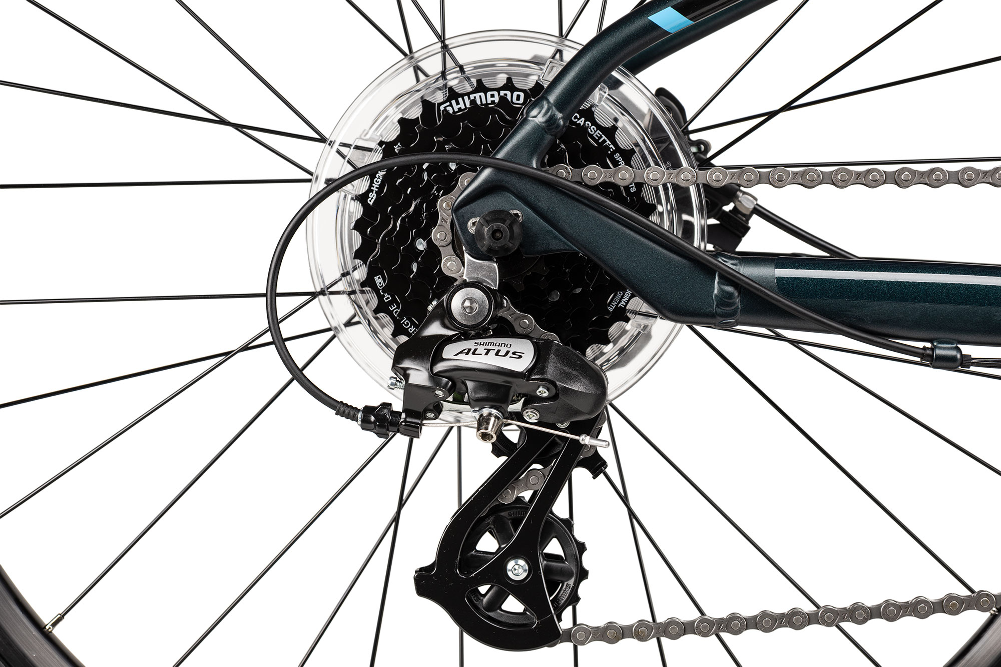 Axess Stipe 26 Pro 33 cm | prism green matt/cyan black