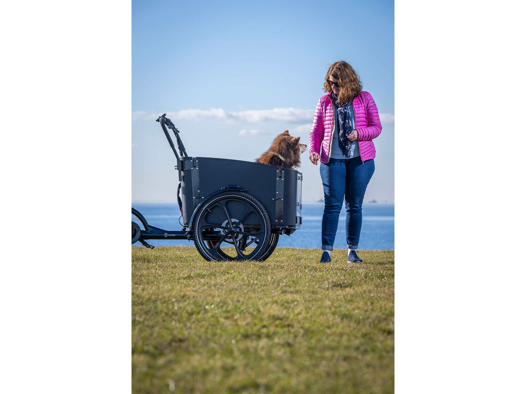 Cargobike of Sweden Flex Dog unisize | schwarz