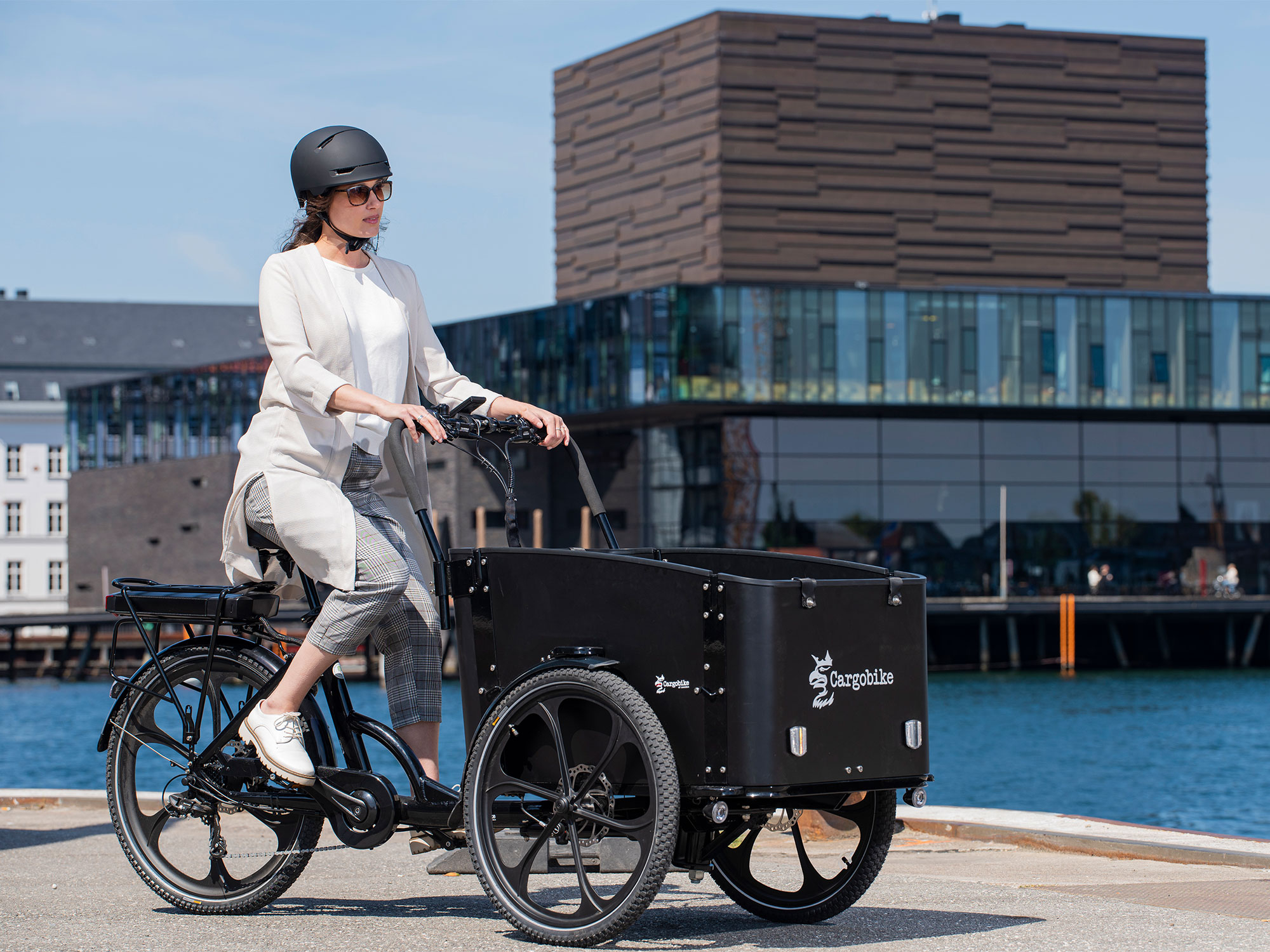 Cargobike of Sweden Flex unisize | schwarz