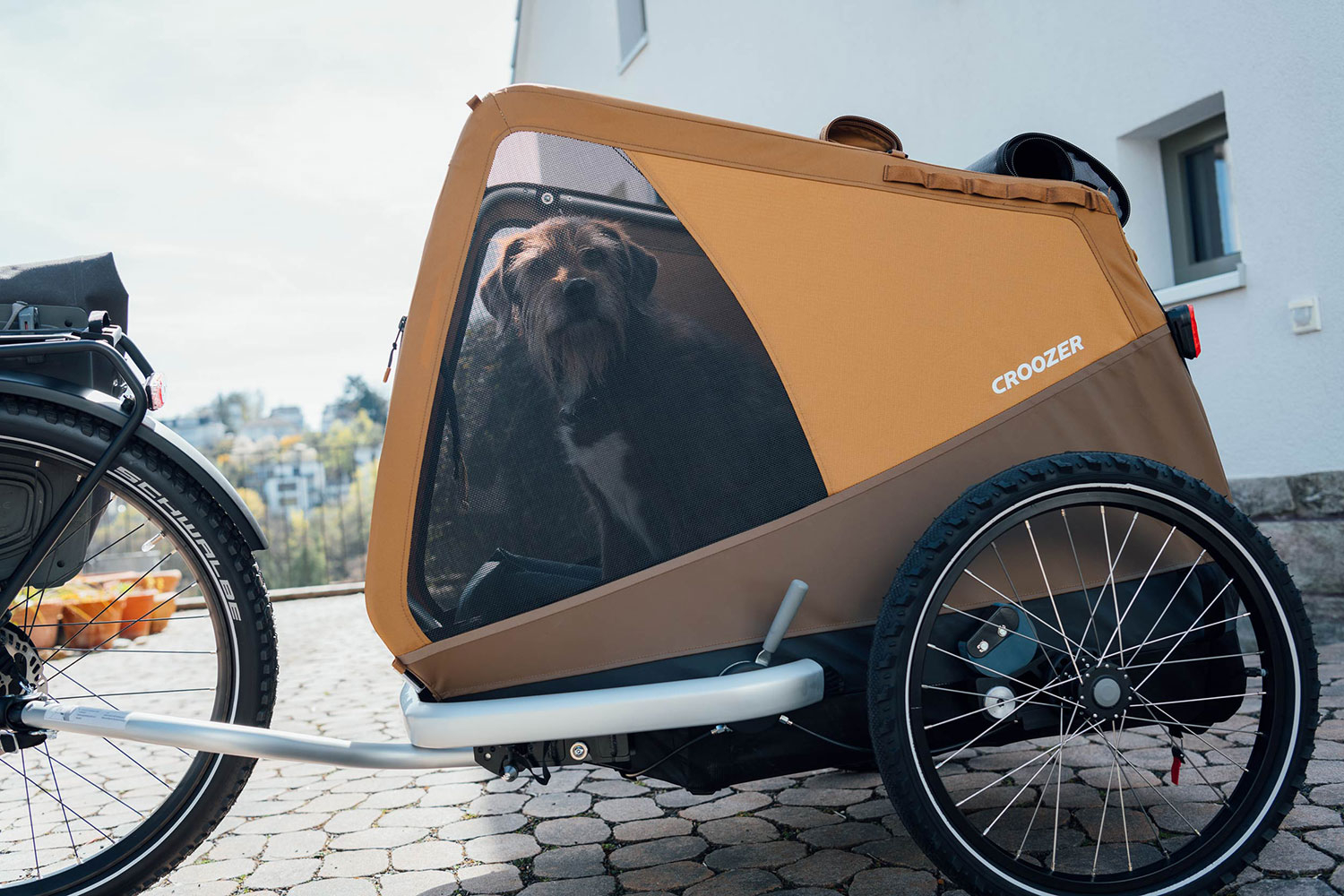 Croozer Dog Mikke Hundetransportanhänger 