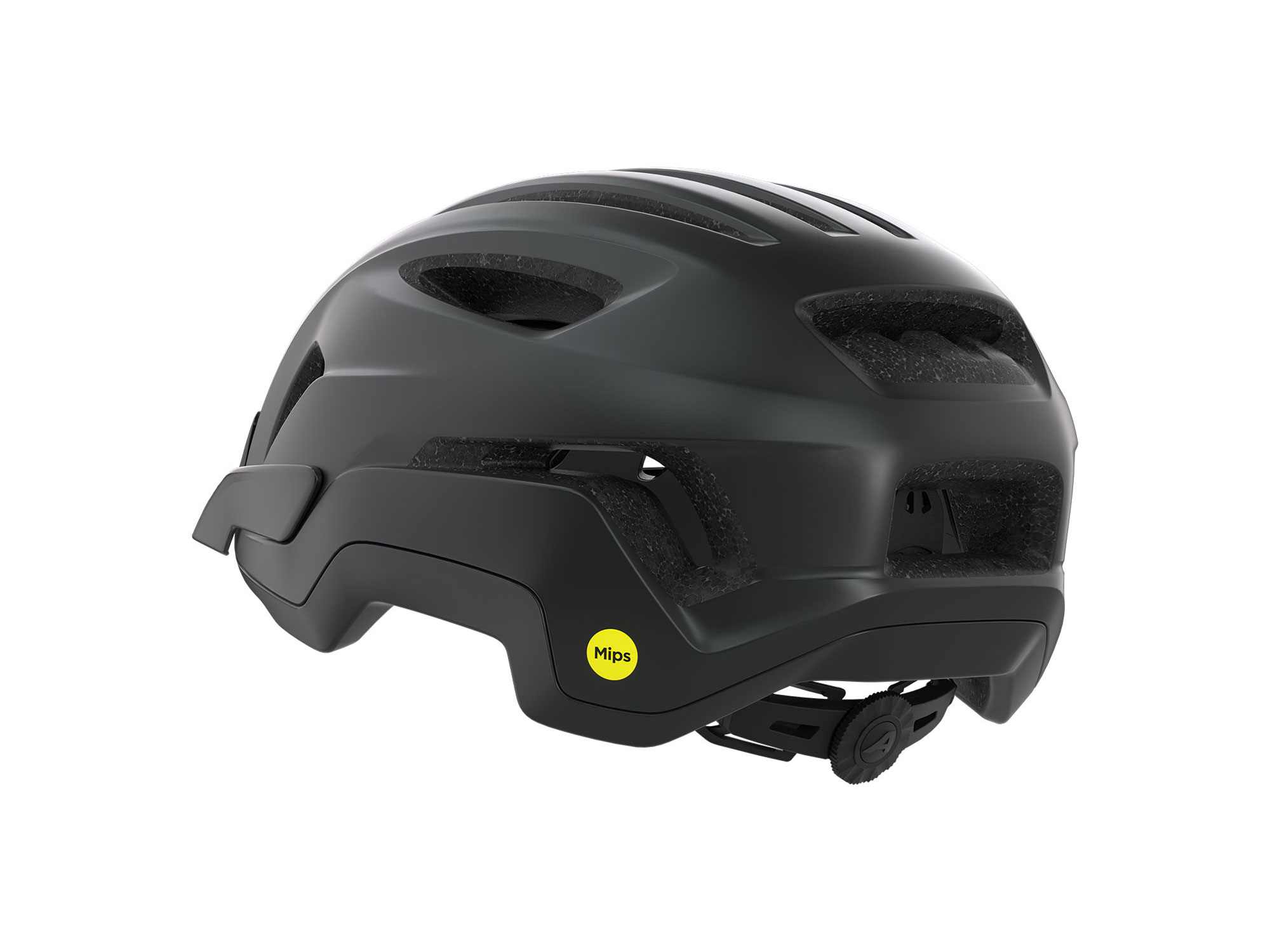 Alpina Paranus MIPS Helm 