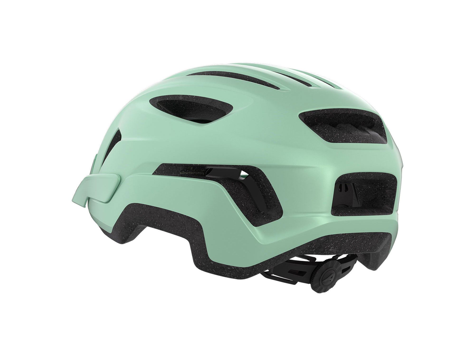 Alpina Paranus Helm 52-56 cm | pastel green matt