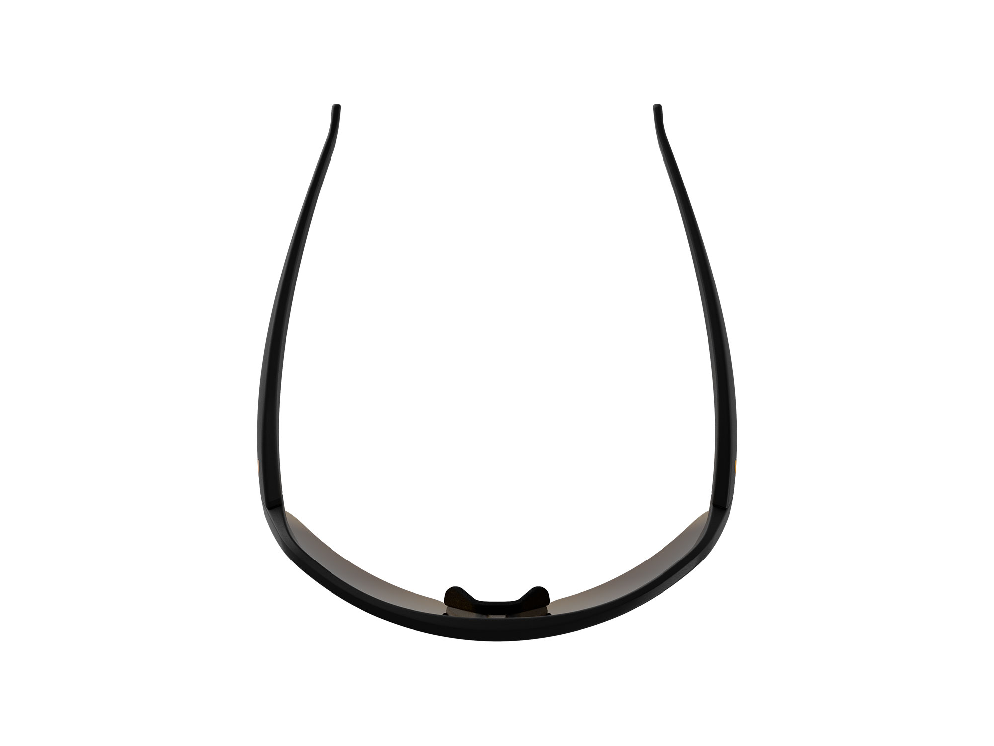 Alpina Turbo Radbrille black matt gold mirror