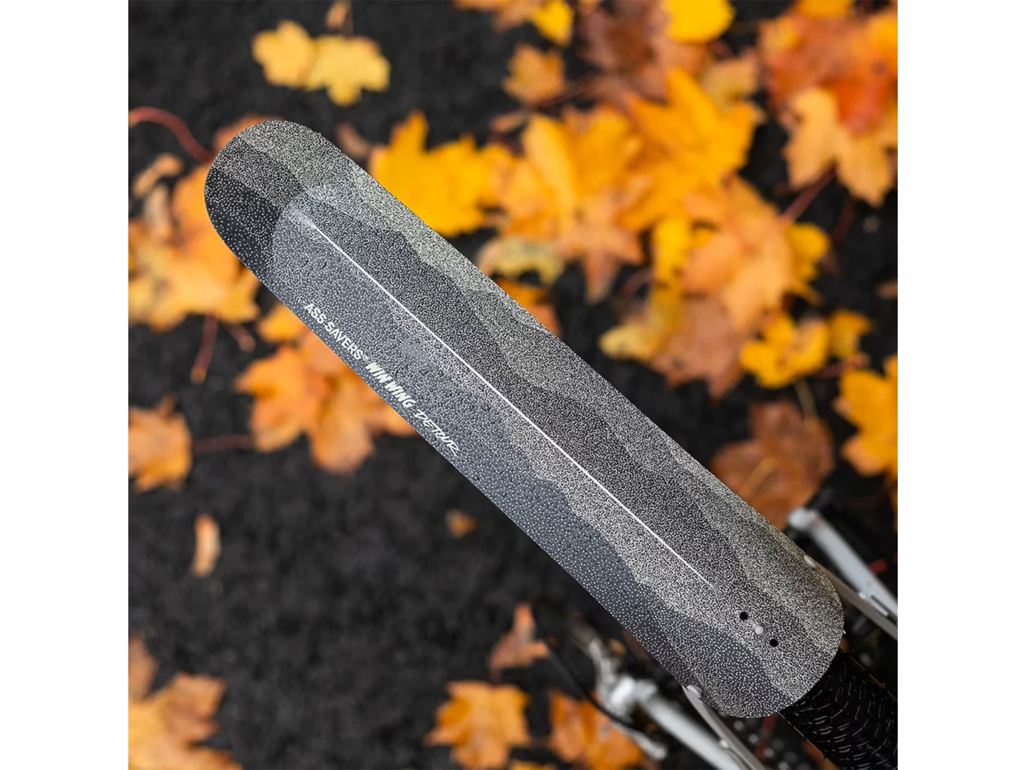 Ass Savers WGS-2 Win Wing Gravel HR Schutzblech detour