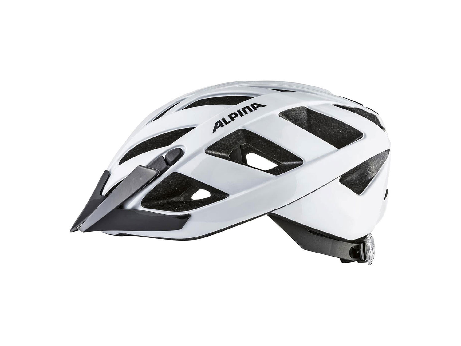Alpina Panoma Classic Helm 
