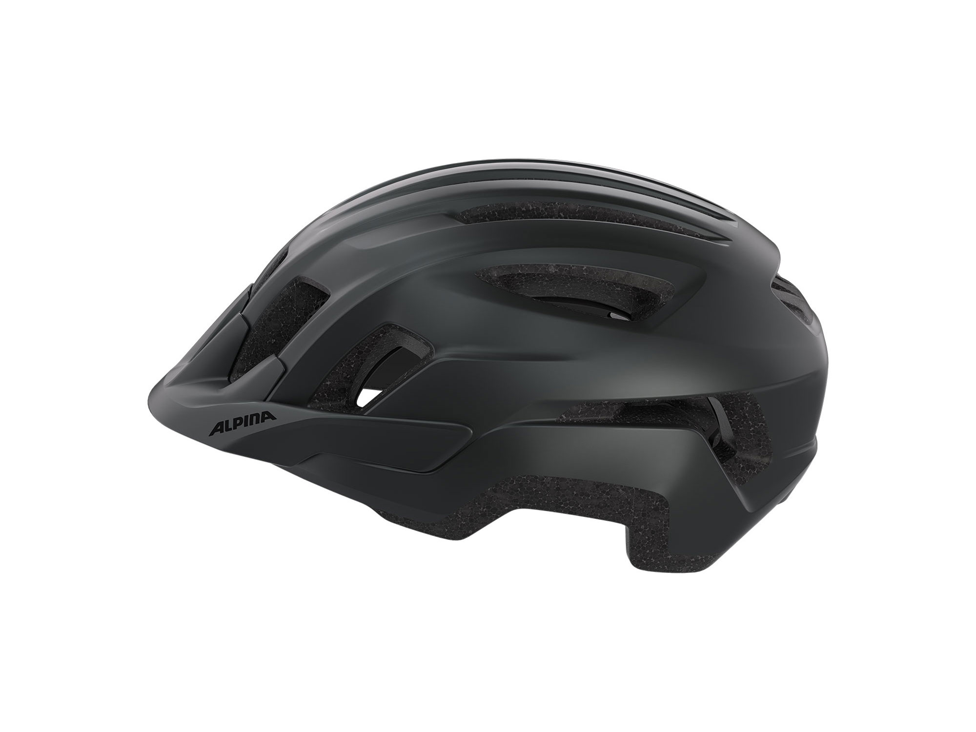 Alpina Paranus Helm 59-61 cm | black matt