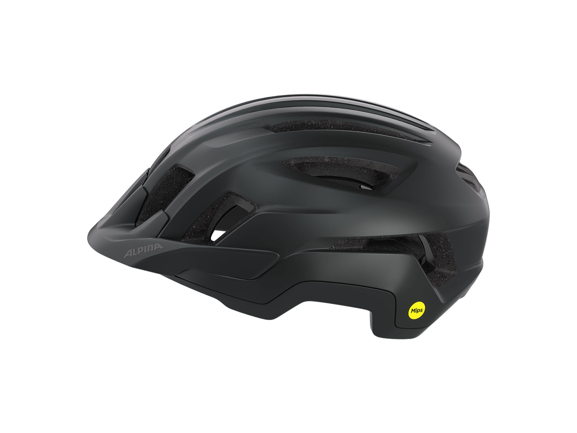 Alpina Paranus MIPS Helm 
