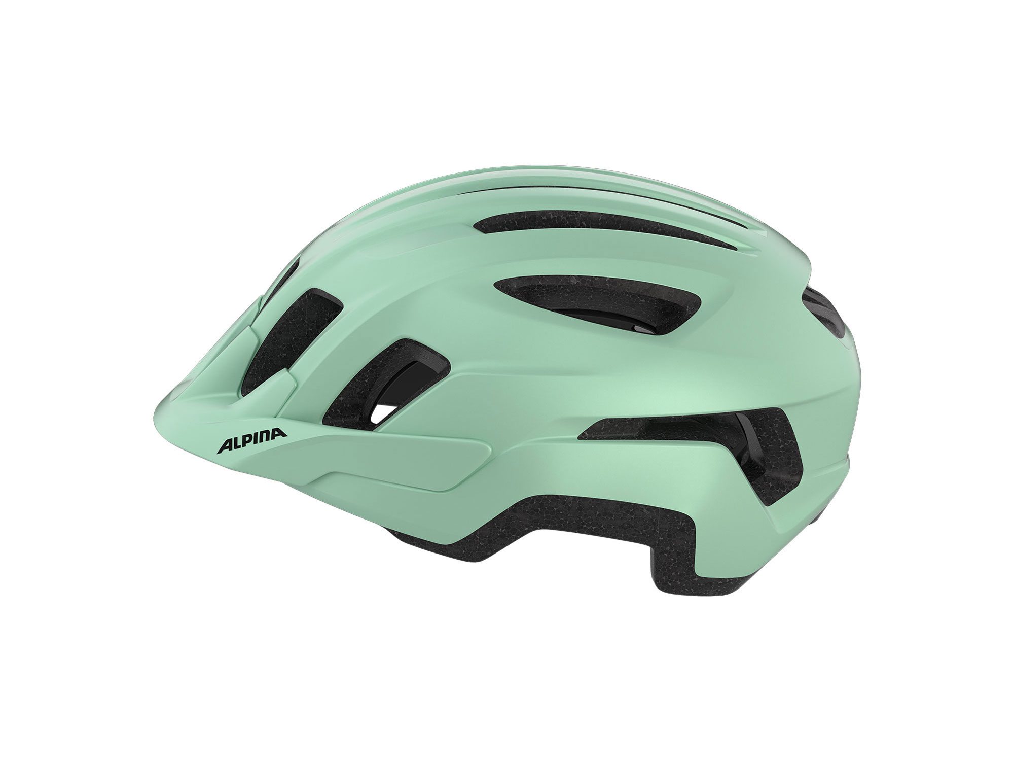 Alpina Paranus Helm 52-56 cm | pastel green matt