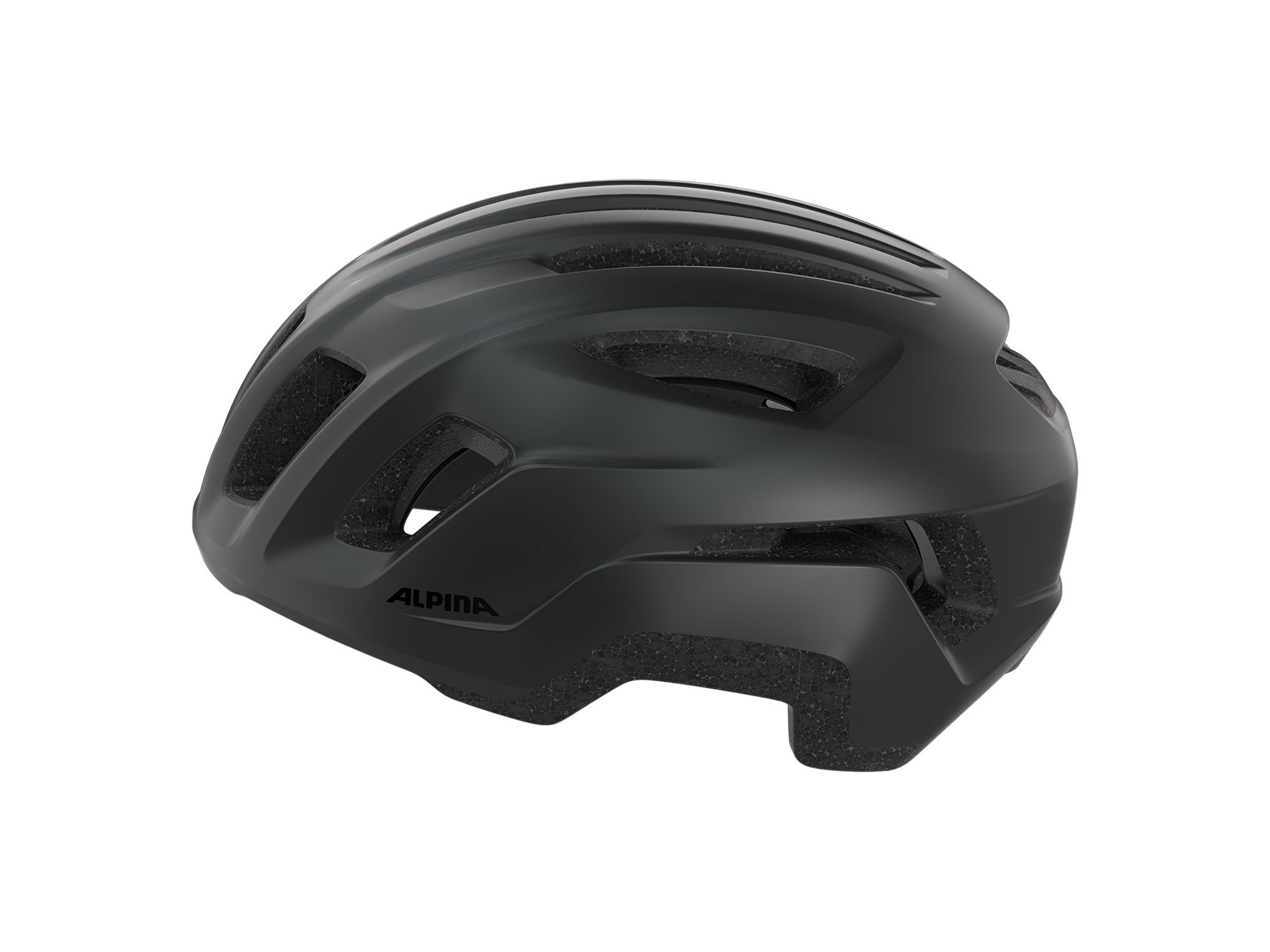Alpina Paranus Urban Helm 