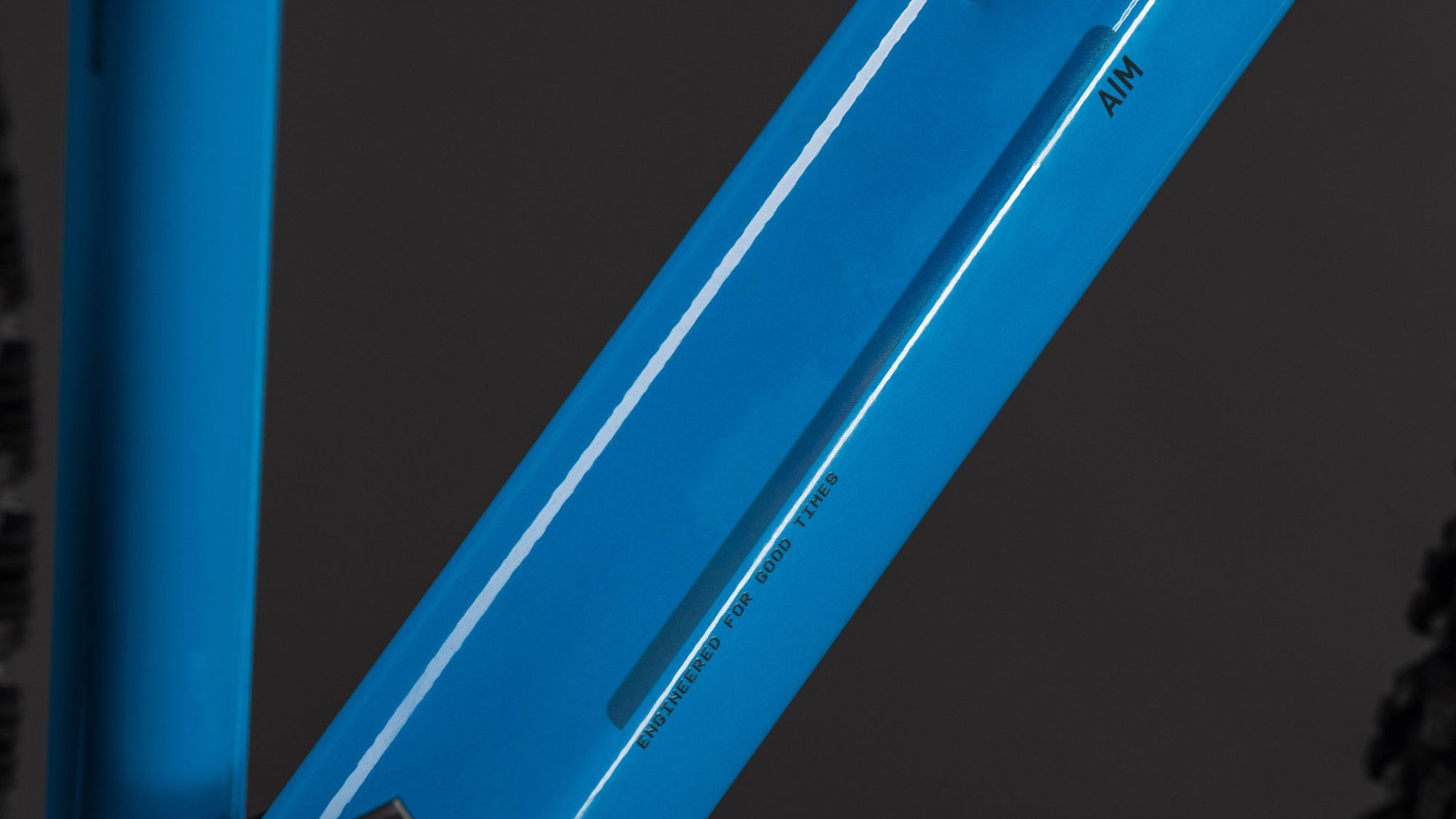 Cube Aim ONE FE 2026 L | marlinblue´n´reflex