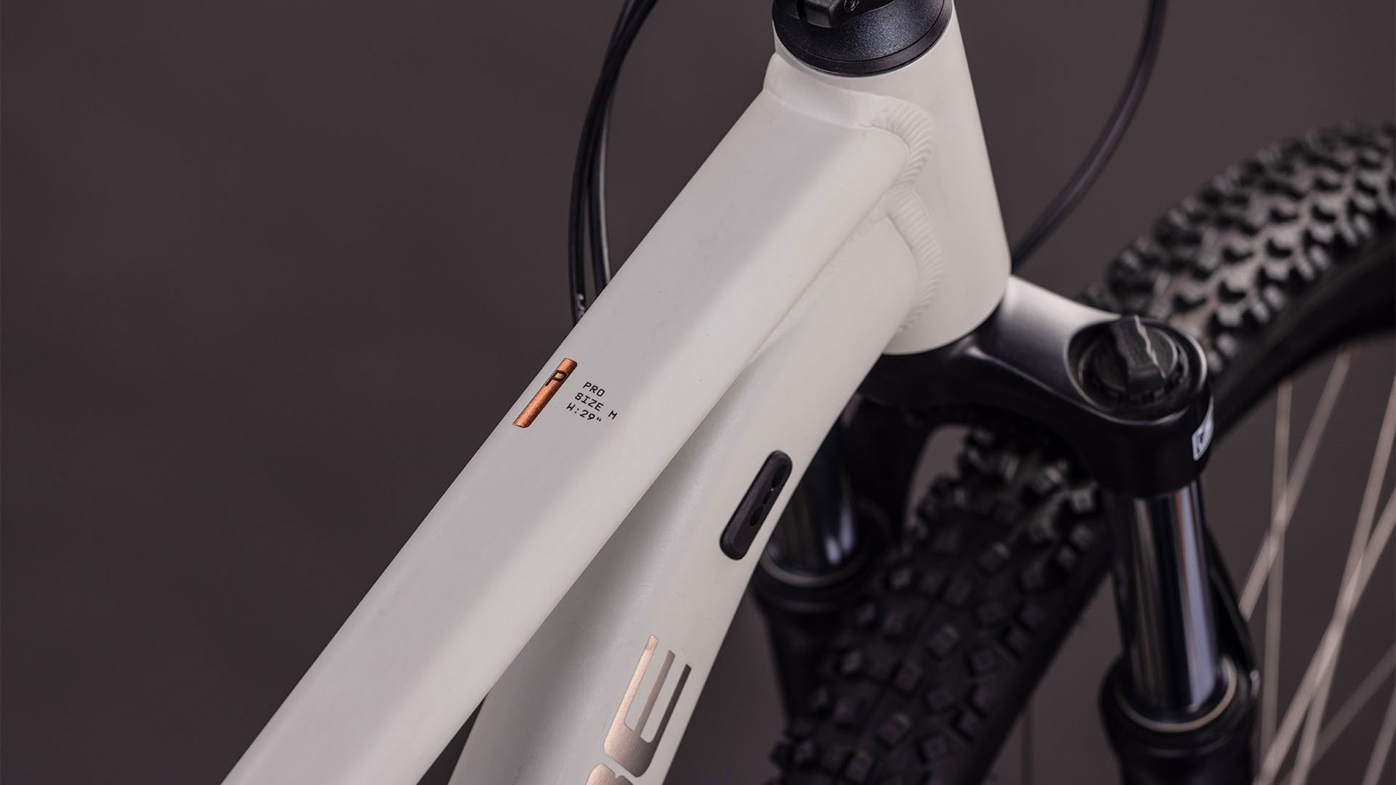 Cube Aim PRO 2026 L | greige´n´titan