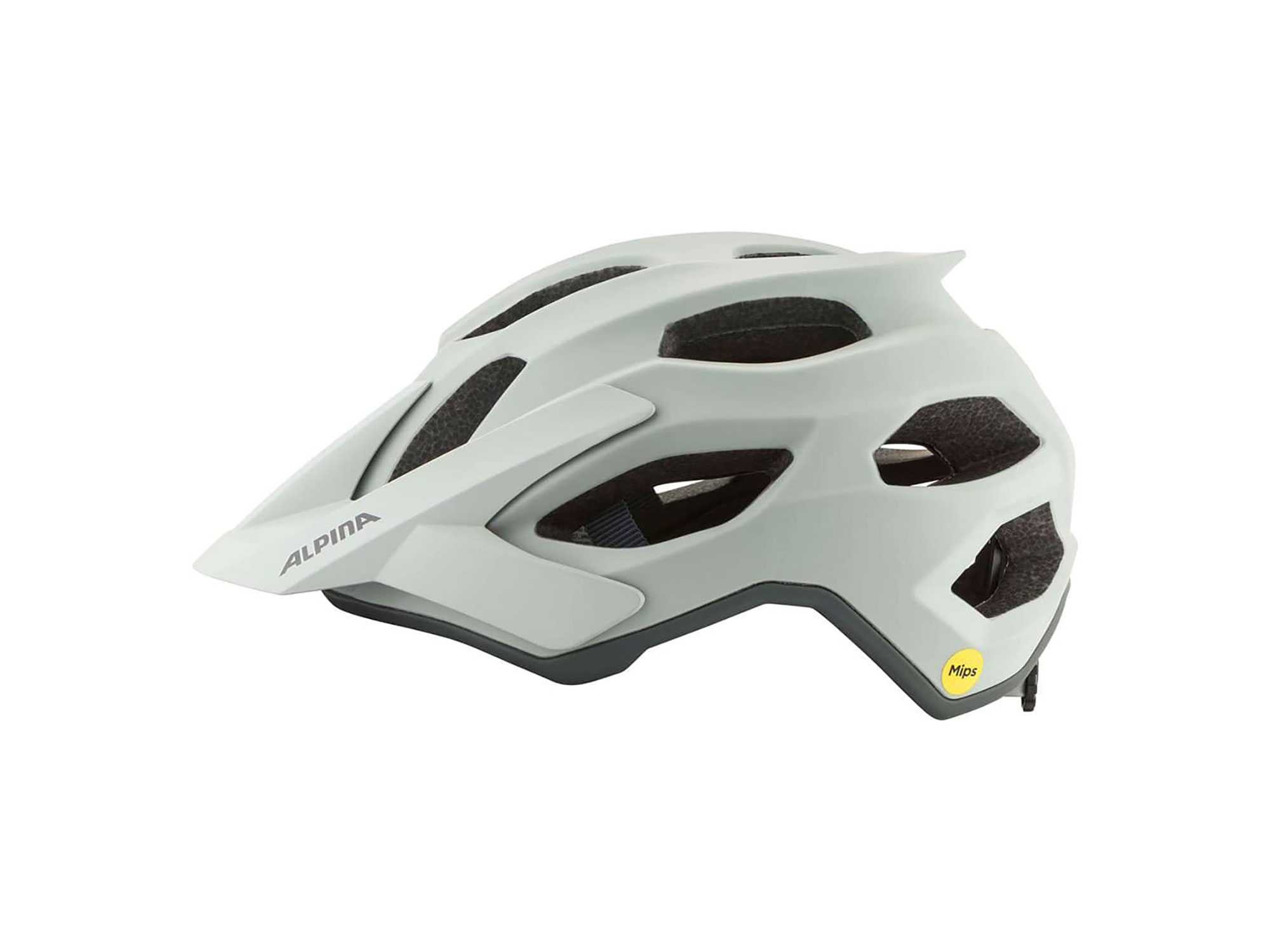Alpina Apax MIPS Helm 